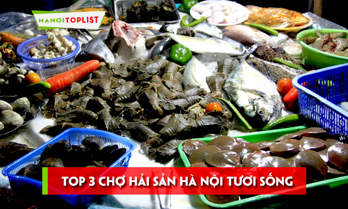 top-3-cho-hai-san-ha-noi-tuoi-song-khong-the-bo-qua