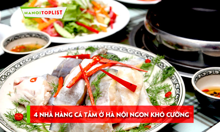 top-4-nha-hang-ca-tam-o-ha-noi-ngon-kho-cuong