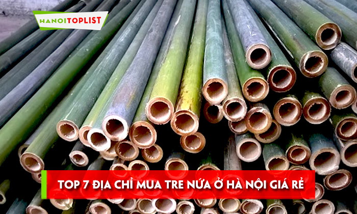top-7-dia-chi-mua-tre-nua-o-ha-noi-gia-re-uy-tin
