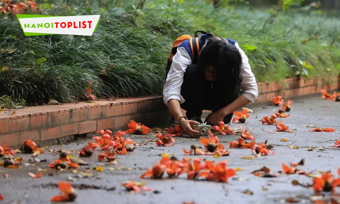thang-3-ha-noi-ruc-ro-mua-moc-mien-thap-lua-0-hanoitoplist