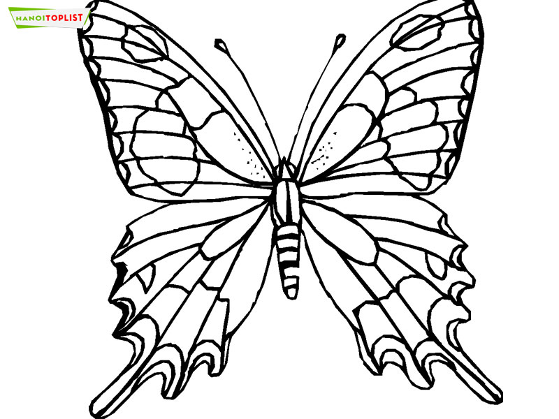 tranh-to-mau-cho-be-chu-de-phuong-tien-giao-thong-va-dong-vat-9-hanoitoplist