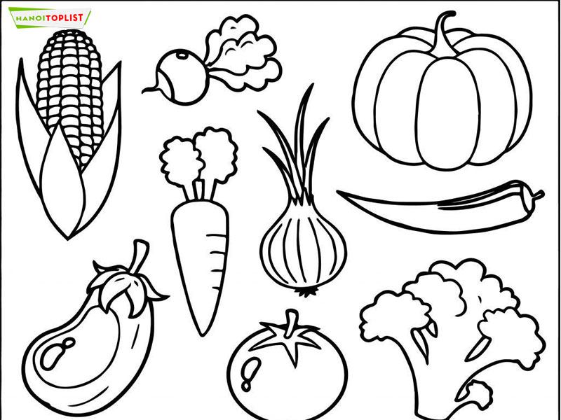 tranh-to-mau-cho-be-trai-kich-thich-su-sang-tao-1-hanoitoplist