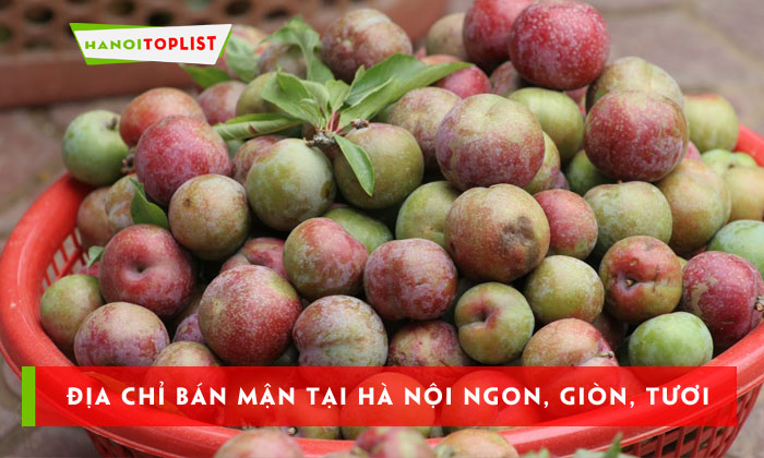 Top 5+ địa chỉ bán mận tại Hà Nội ngon, giòn, tươi roi rói ...