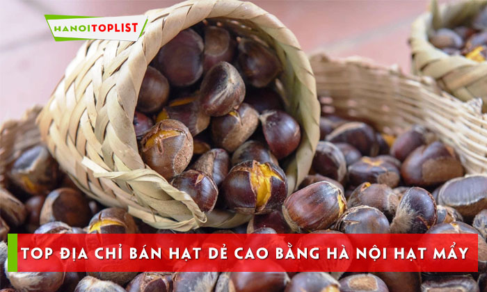top-10-dia-chi-ban-hat-de-cao-bang-ha-noi-hat-may-thom-ngon-hanoitoplist