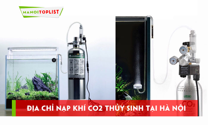 dia-chi-nap-khi-co2-thuy-sinh-tai-ha-noi-nhanh-chong-tien-loi-hanoitoplist