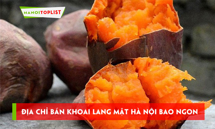 ban-khoai-lang-mat-ha-noi-top-8-dia-chi-ban-an-bao-ngon-hanoitoplist