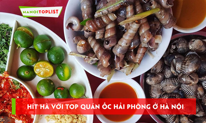 hit-ha-voi-top-11-quan-oc-hai-phong-o-ha-noi-tuoi-ngon-hanoitoplist