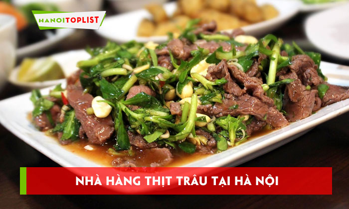 nha-hang-thit-trau-tai-ha-noi-top-10-dia-diem-ngon-quen-loi-hanoitoplist