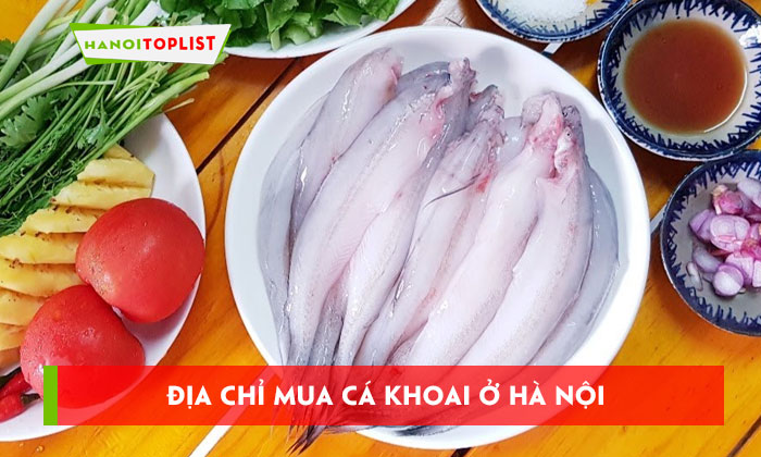 top-5-dia-chi-mua-ca-khoai-o-ha-noi-tuoi-re-hang-dau-hanoitoplist