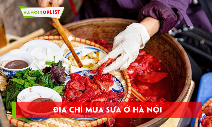 top-6-dia-chi-mua-sua-o-ha-noi-sieu-hut-khach-nen-ghe-hanoitoplist