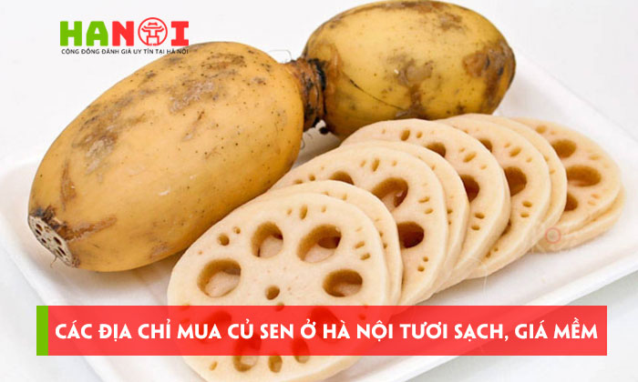 10-cac-dia-chi-mua-cu-sen-o-ha-noi-tuoi-sach-gia-mem-hanoitoplist