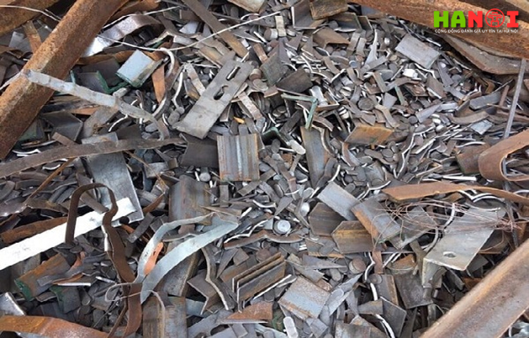 Hoang-ngoc-diep-don-vi-thu-mua-sat-vun-gia-cao-tan-noi-1