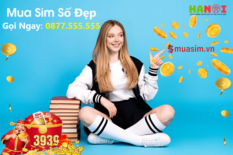 Nha-mang-nao-so-huu-dau-sim-dau-so-05