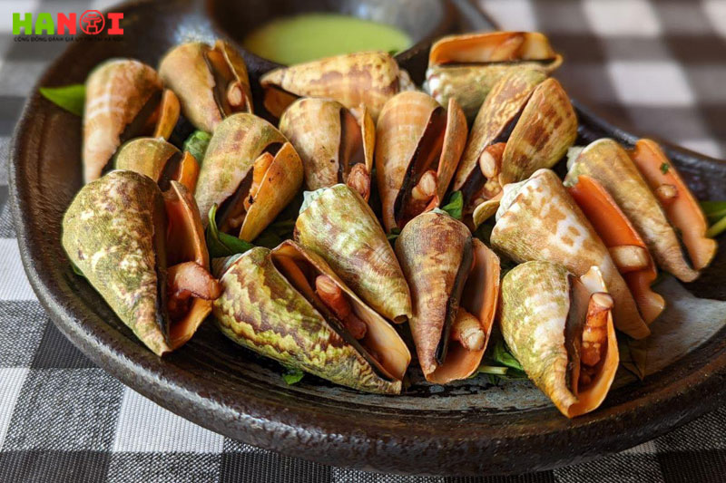 Oc-vi-saigon-hanoitoplist