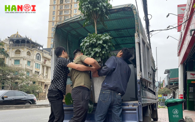 Cong-ty-tnhh-dich-vu-van-tai-chuyen-nha-move-home-hanoitoplist