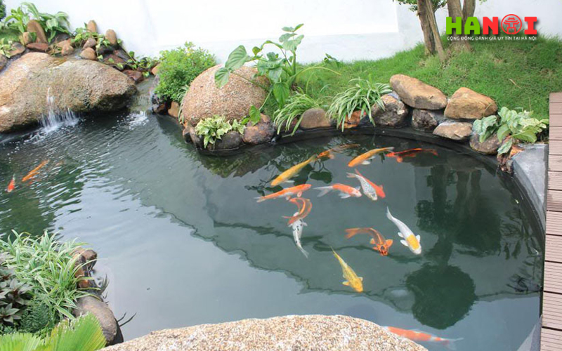 Koi-farm-viet-nhat-hanoitoplist