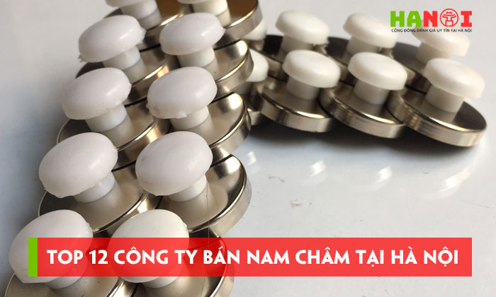 Top-12-cong-ty-ban-nam-cham-tai-ha-noi-da-dang-mau-gia-tot-hanoitoplist