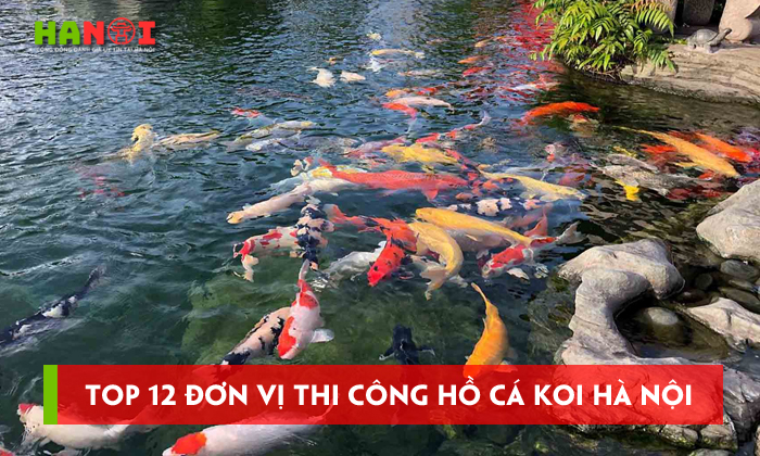 Top-12-don-vi-thi-cong-ho-ca-koi-ha-noi-dep-chuan-kich-thuoc
