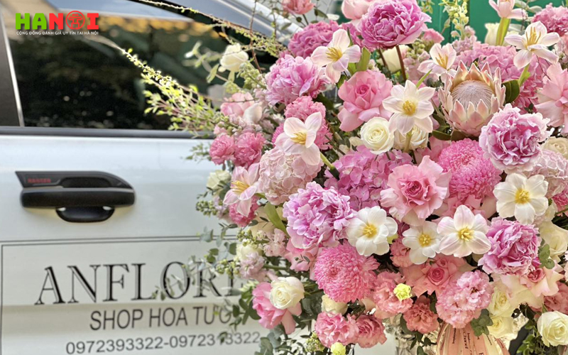 Anflorist-hanoitoplist