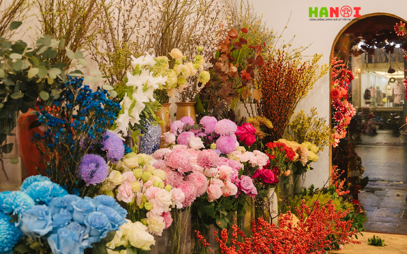 Liti-florist-hanoitoplist