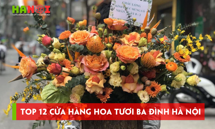 Top-12-cua-hang-hoa-tuoi-ba-dinh-ha-noi-dep-moi-moi-ngay