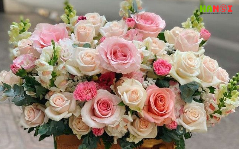 Vietflora-hanoitoplist