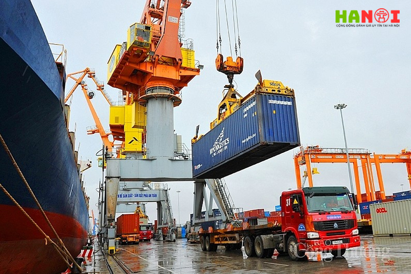 Cong-ty-tnhh-xuat-nhap-khau-vinaship-1