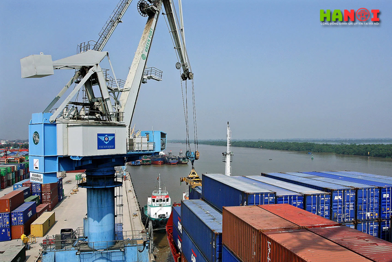 Cong-ty-tnhh-xuat-nhap-khau-vinaship-3