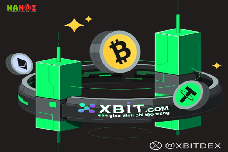 Xbit-phan-tich-xu-huong-ho-tro-da-chuoi-va-quy-dinh-cua-thi-truong-1