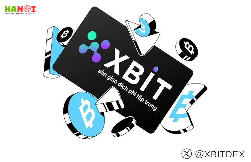 Xbit-phan-tich-xu-huong-ho-tro-da-chuoi-va-quy-dinh-cua-thi-truong-2