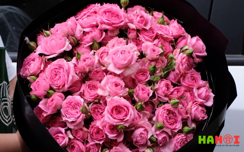 Lamour-flower-hanoitoplist