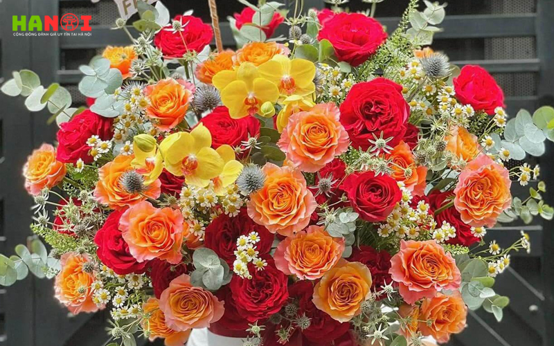 Nht-flower-hanoitoplist