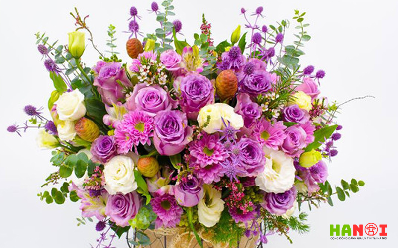 Quynh-hoa-flower-hanoitoplist