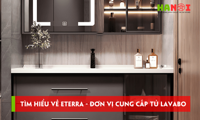 Tim-hieu-ve-eterra-don-vi-cung-cap-tu-lavabo-chat-luong-cao-gia-tot-5