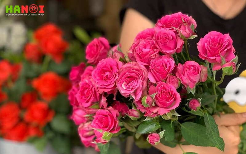 Hoa-tuoi-hoarosa-hanoitoplist