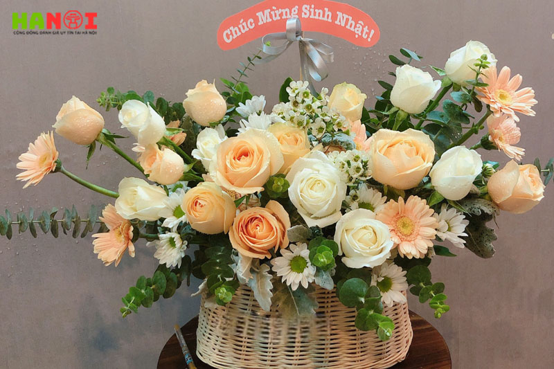 Hoa-tuoi-ngoc-lan-hanoitoplist