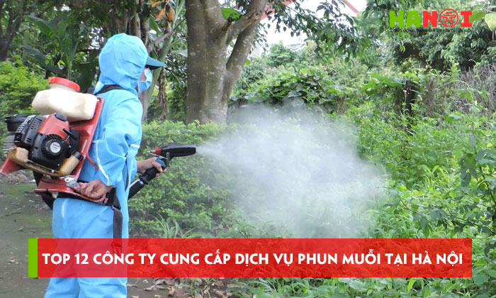 12-cong-ty-cung-cap-dich-vu-phun-muoi-tai-ha-noi-hieu-qua-gia-tot-hanoitoplist