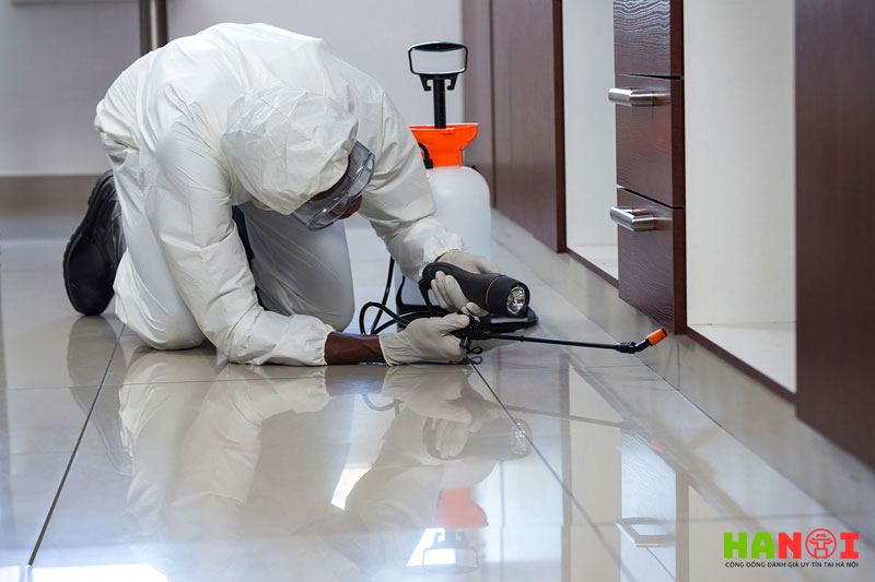 Cong-ty-diet-con-trung-dai-viet-hanoitoplist