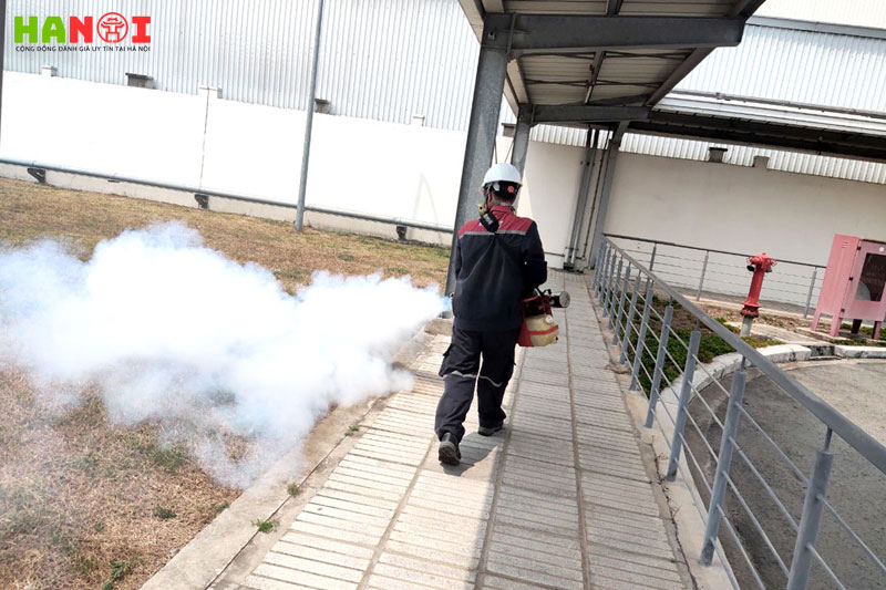 Dich-vu-phun-muoi-va-diet-chuot-quang-thieu-hanoitoplist