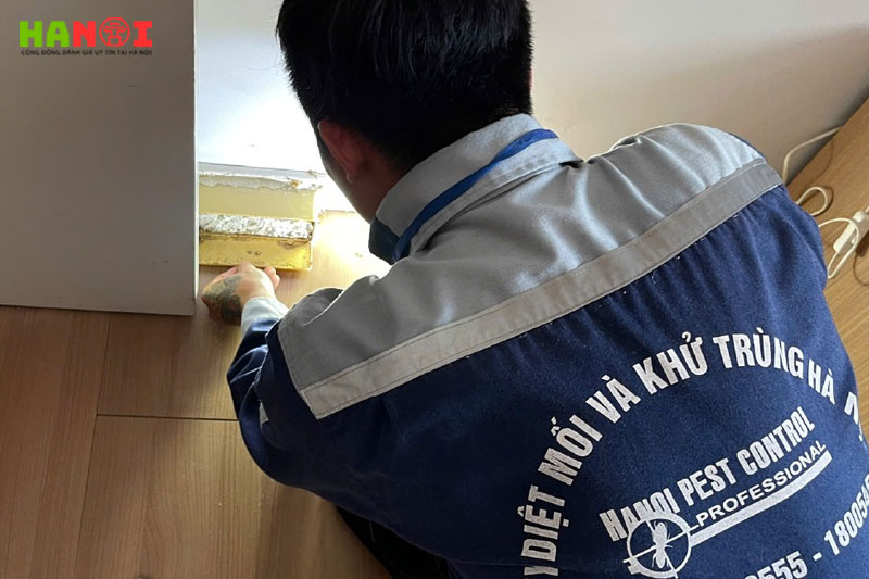 Hanoi-pest-control-hanoitoplist