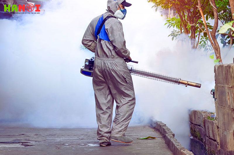 Kiem-dich-ha-noi-1-hanoitoplist