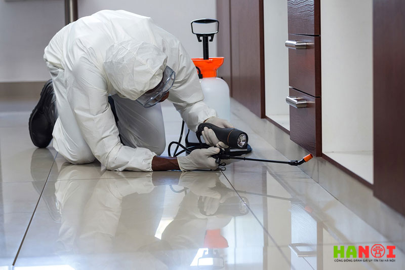 Vietnam-pest-control-hanoitoplist