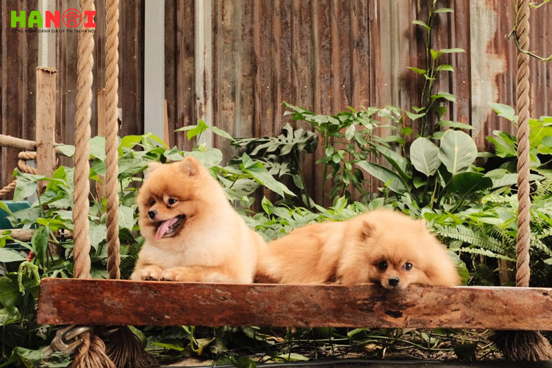 Mou-coffee-hanoitoplist