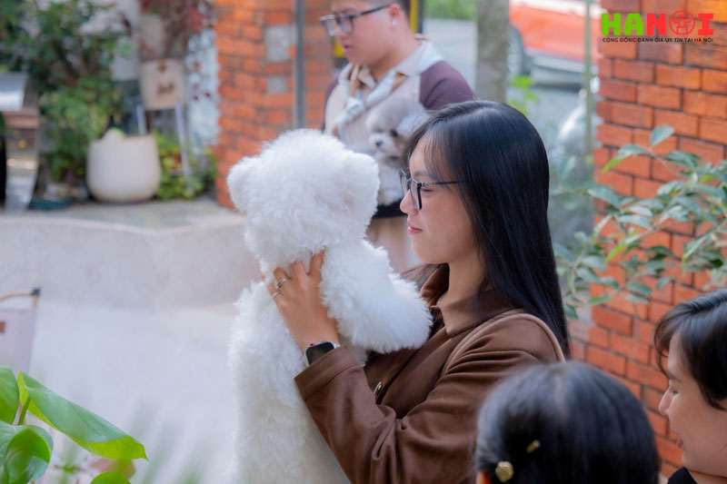 Posh-pet-hanoitoplist