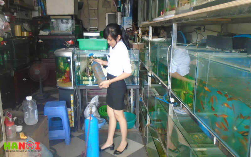 Tieu-chi-lua-chon-dia-chi-nap-khi-co2-thuy-sinh-tai-ha-noi-hanoitoplist