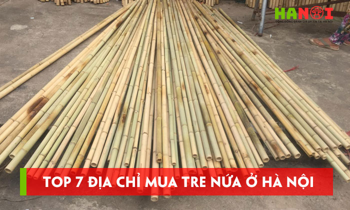 Top-7-dia-chi-mua-tre-nua-o-ha-noi-da-dang-kich-thuoc-1-hanoitoplist