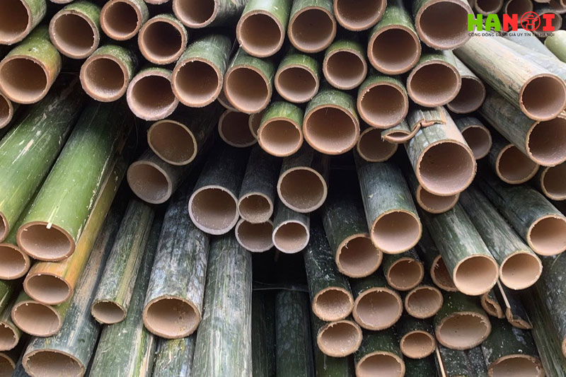 Tre-nua-la-1-hanoitoplist