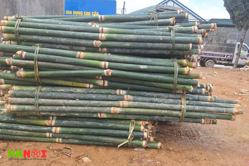 Tre-truc-bamboo-viet-1-hanoitoplist