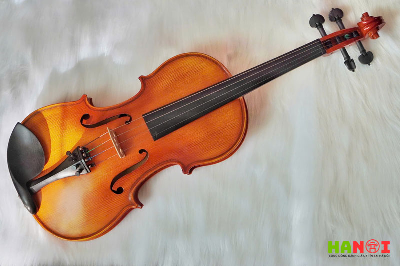 Tong-kho-nhac-cu-tygy-hanoitoplist