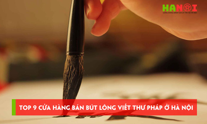Top-9-cua-hang-ban-but-long-viet-thu-phap-o-ha-noi-chat-luong-hanoitoplist